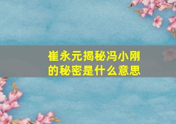 崔永元揭秘冯小刚的秘密是什么意思