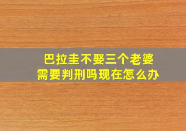 巴拉圭不娶三个老婆需要判刑吗现在怎么办