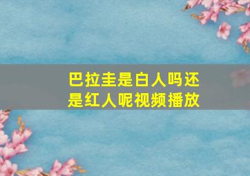 巴拉圭是白人吗还是红人呢视频播放