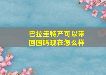 巴拉圭特产可以带回国吗现在怎么样