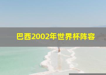 巴西2002年世界杯阵容