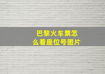 巴黎火车票怎么看座位号图片