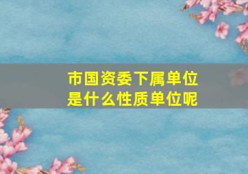 市国资委下属单位是什么性质单位呢