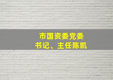 市国资委党委书记、主任陈凯