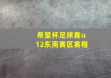 希望杯足球赛u12东南赛区赛程