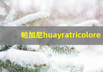 帕加尼huayratricolore