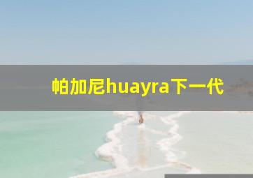 帕加尼huayra下一代