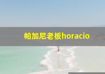 帕加尼老板horacio