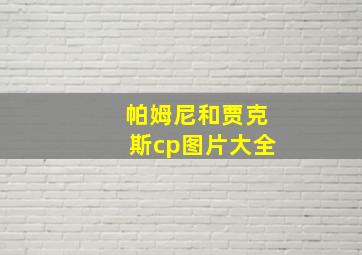 帕姆尼和贾克斯cp图片大全