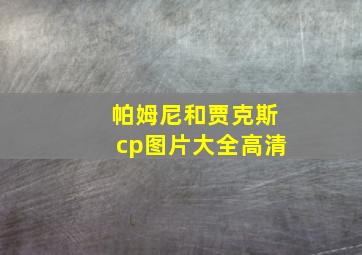 帕姆尼和贾克斯cp图片大全高清