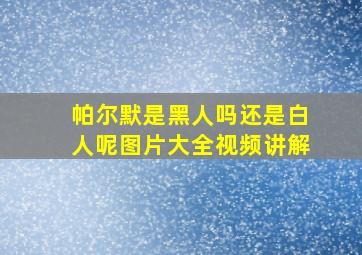 帕尔默是黑人吗还是白人呢图片大全视频讲解