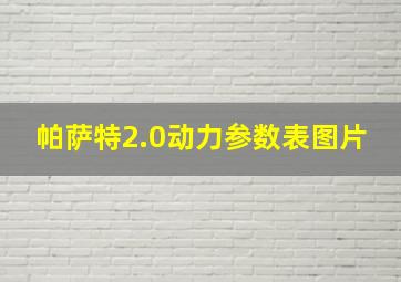 帕萨特2.0动力参数表图片