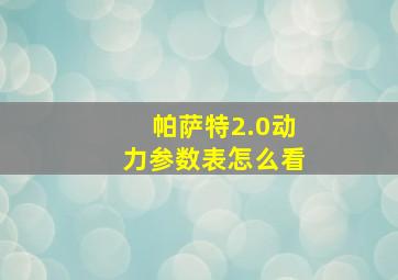 帕萨特2.0动力参数表怎么看