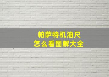 帕萨特机油尺怎么看图解大全