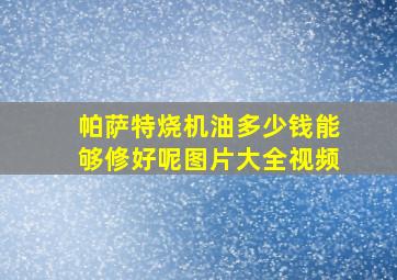 帕萨特烧机油多少钱能够修好呢图片大全视频