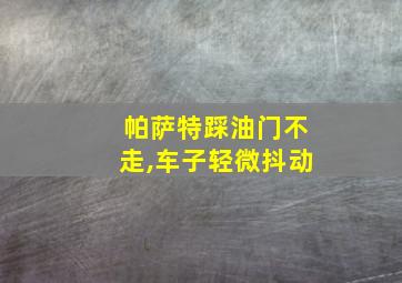 帕萨特踩油门不走,车子轻微抖动