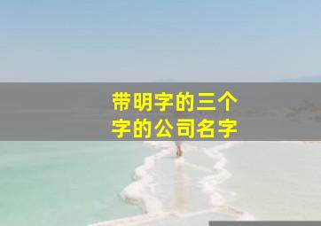 带明字的三个字的公司名字