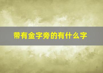 带有金字旁的有什么字