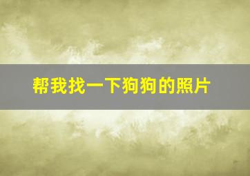 帮我找一下狗狗的照片