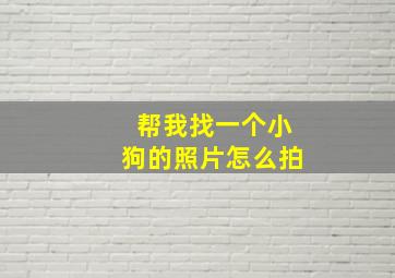 帮我找一个小狗的照片怎么拍