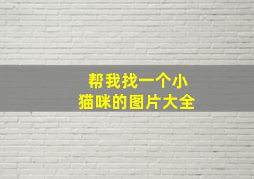 帮我找一个小猫咪的图片大全