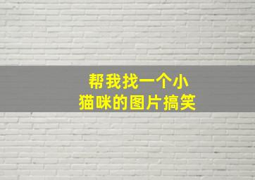 帮我找一个小猫咪的图片搞笑