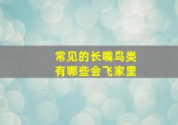 常见的长嘴鸟类有哪些会飞家里