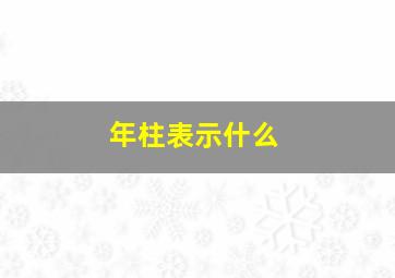 年柱表示什么