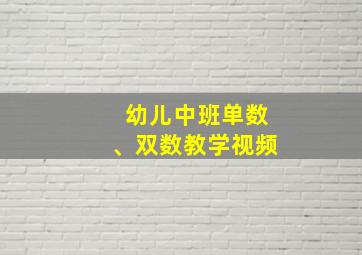 幼儿中班单数、双数教学视频