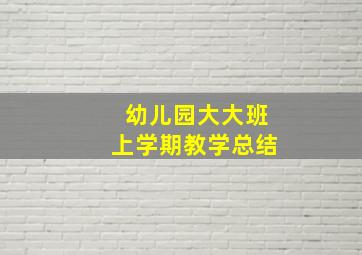 幼儿园大大班上学期教学总结