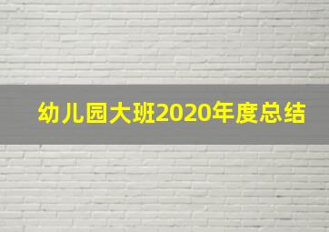 幼儿园大班2020年度总结