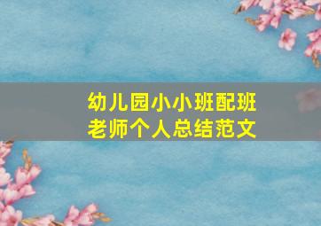 幼儿园小小班配班老师个人总结范文