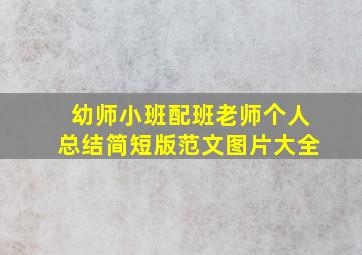 幼师小班配班老师个人总结简短版范文图片大全