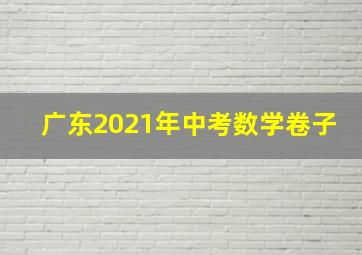 广东2021年中考数学卷子