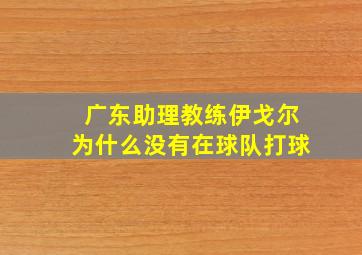 广东助理教练伊戈尔为什么没有在球队打球