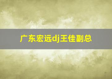 广东宏远dj王佳副总