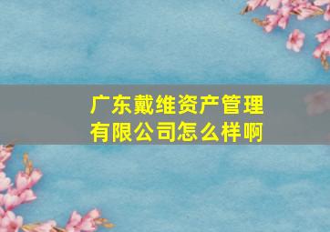 广东戴维资产管理有限公司怎么样啊