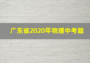 广东省2020年物理中考题