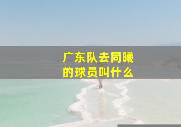 广东队去同曦的球员叫什么