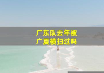 广东队去年被广夏横扫过吗