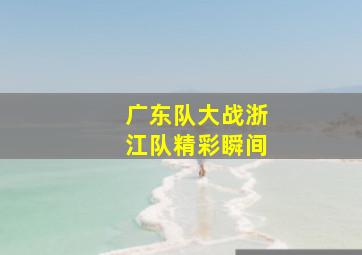 广东队大战浙江队精彩瞬间