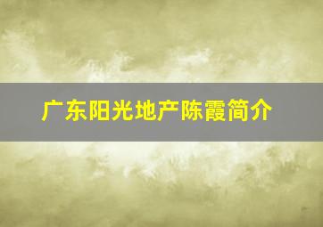 广东阳光地产陈霞简介