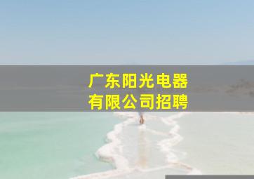 广东阳光电器有限公司招聘