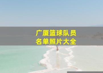 广厦篮球队员名单照片大全