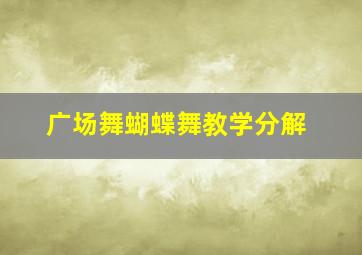 广场舞蝴蝶舞教学分解