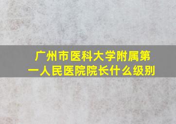 广州市医科大学附属第一人民医院院长什么级别