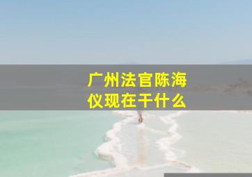 广州法官陈海仪现在干什么