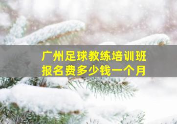 广州足球教练培训班报名费多少钱一个月