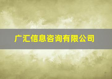 广汇信息咨询有限公司