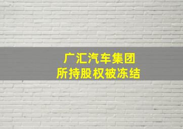 广汇汽车集团所持股权被冻结